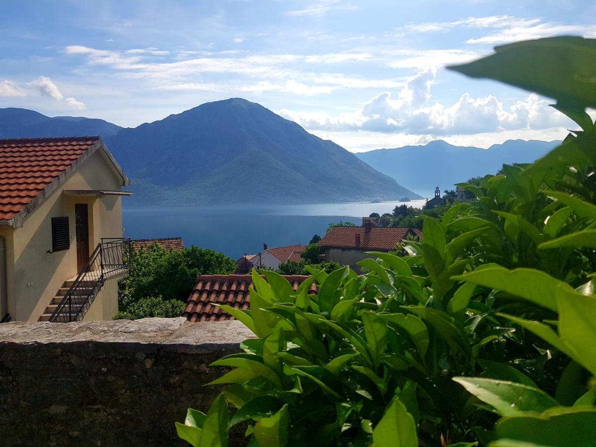 Guest House Maza Kotor Extérieur photo
