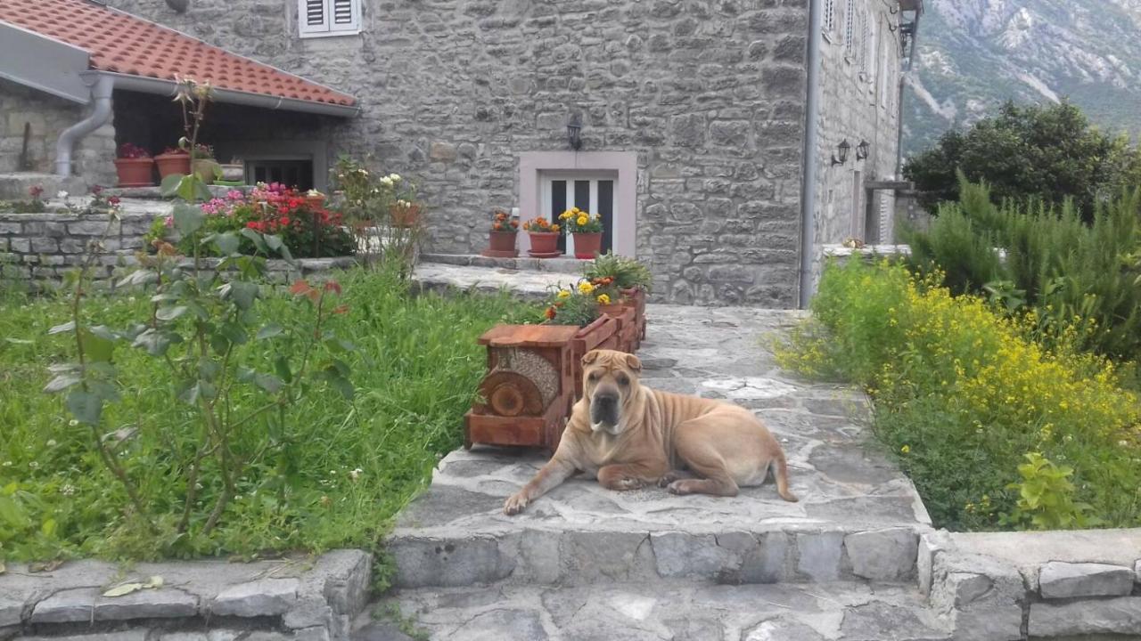 Guest House Maza Kotor Extérieur photo