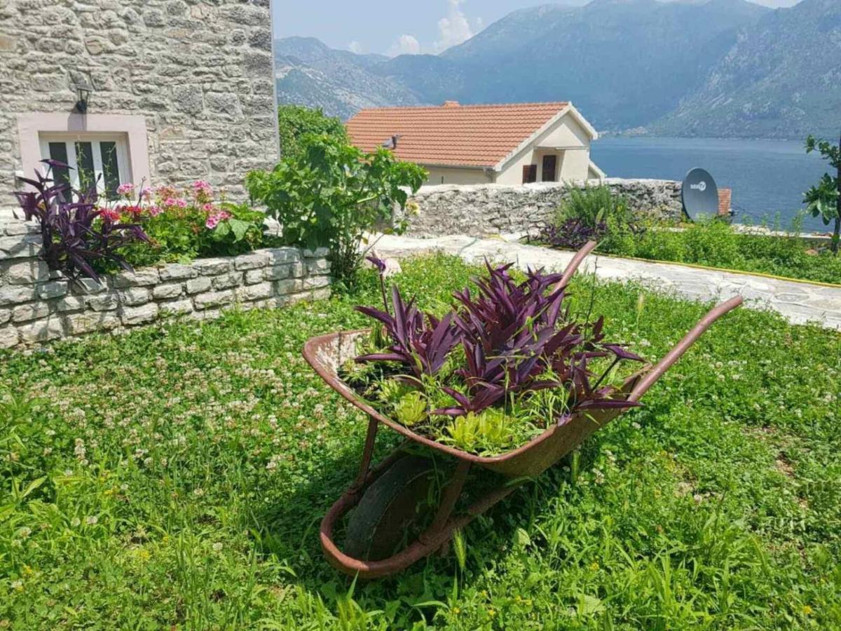 Guest House Maza Kotor Extérieur photo