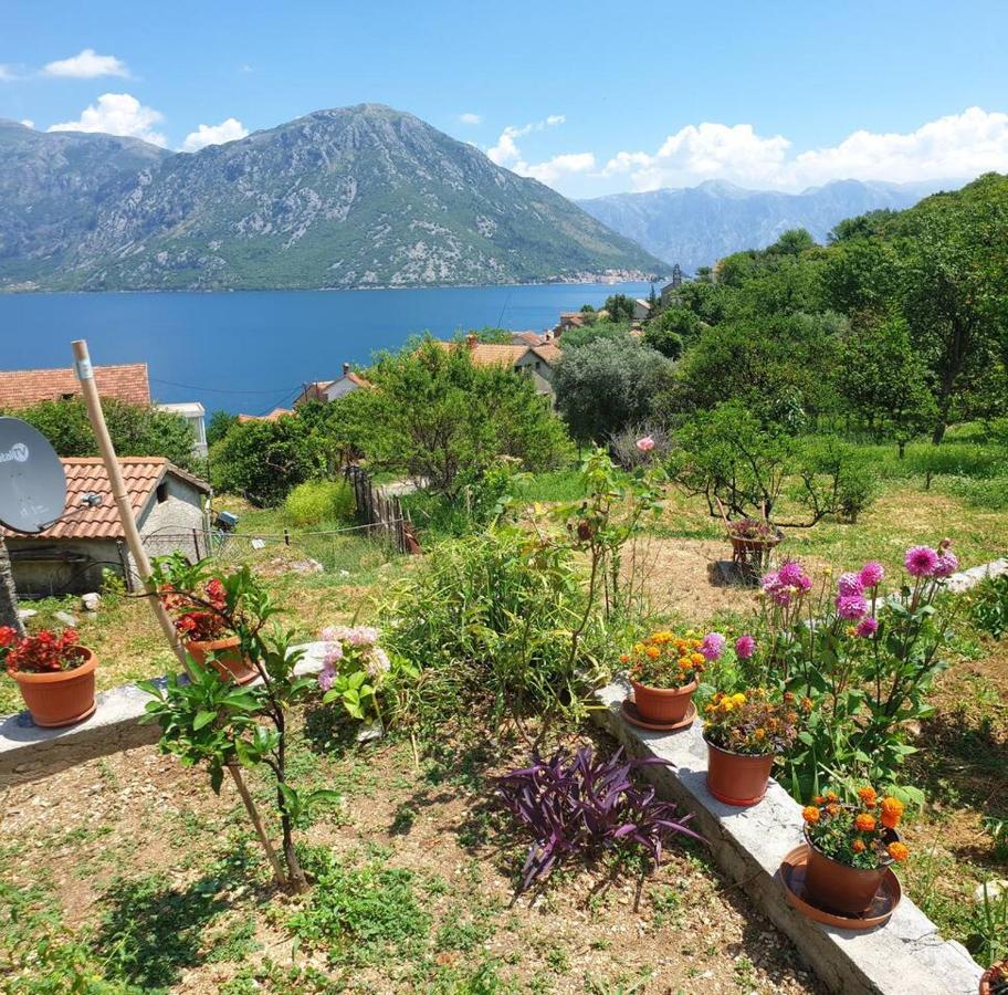 Guest House Maza Kotor Extérieur photo