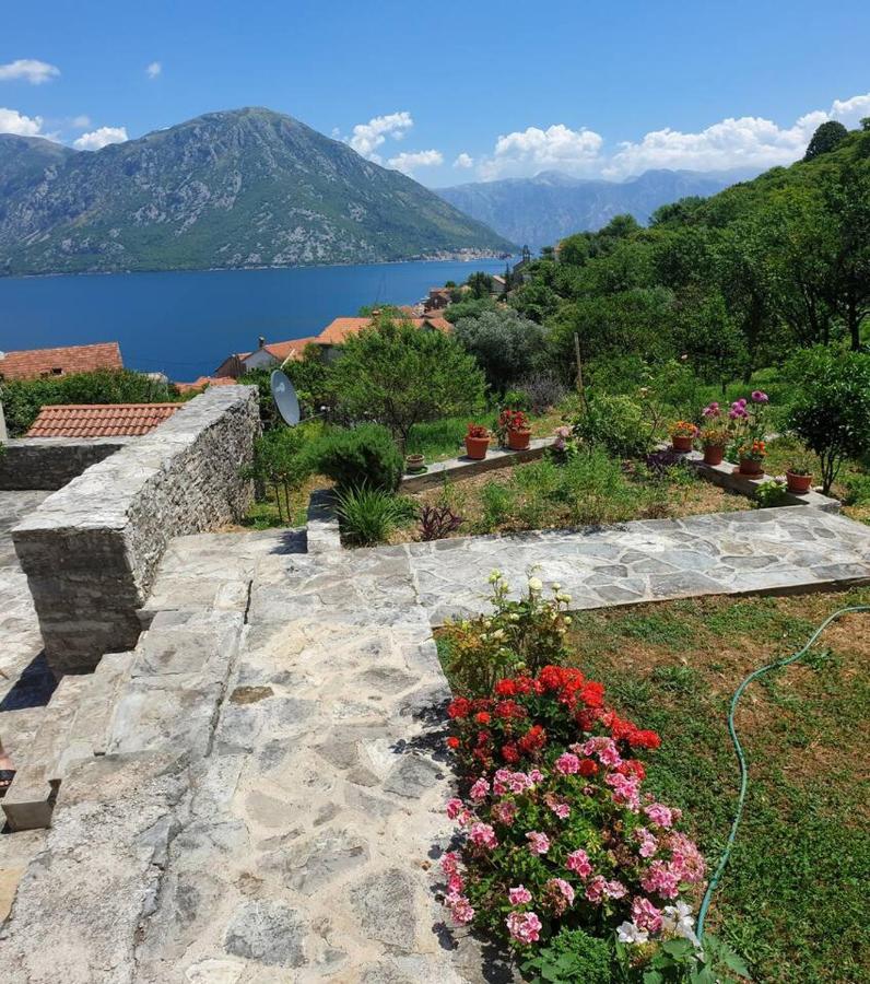 Guest House Maza Kotor Extérieur photo