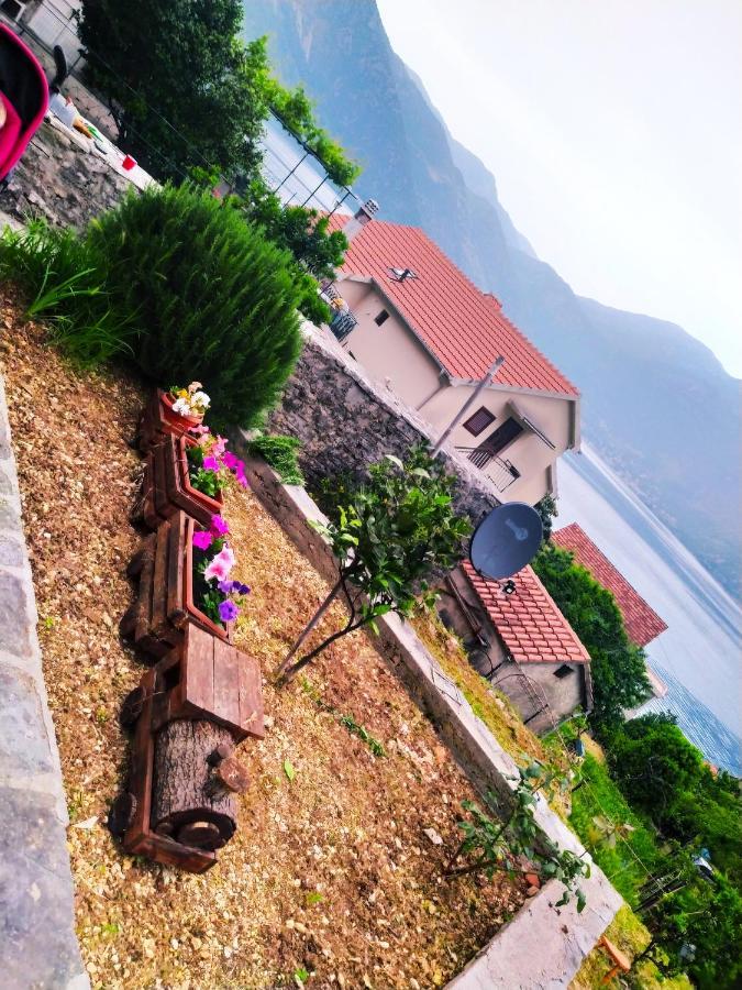 Guest House Maza Kotor Extérieur photo